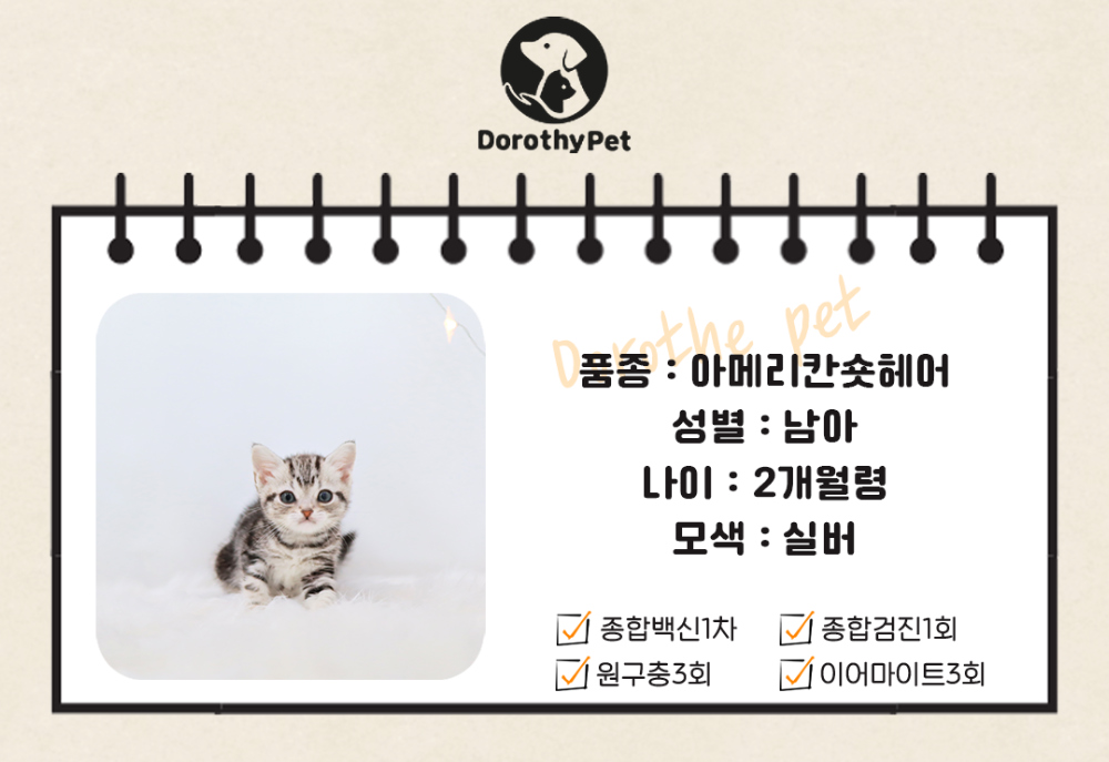 악세사리 상품 이미지-S1L2