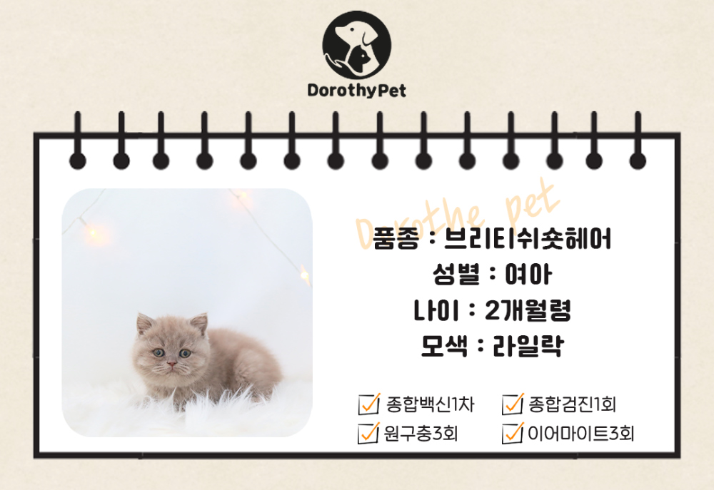 악세사리 상품 이미지-S1L2