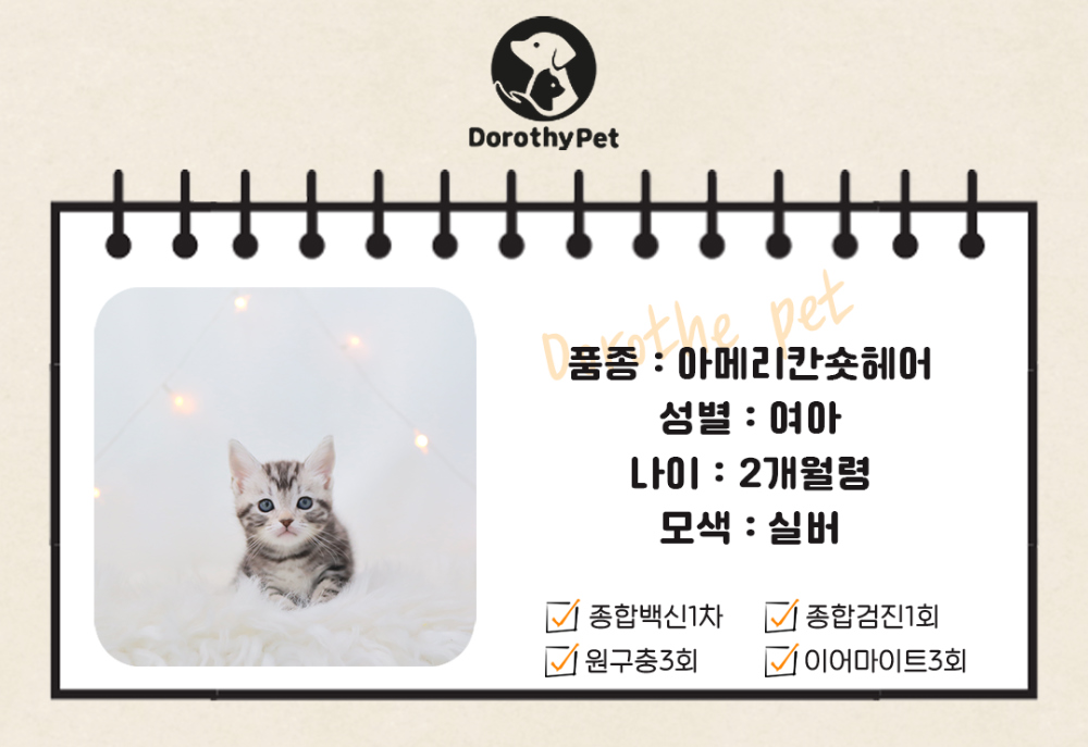 악세사리 상품 이미지-S1L2