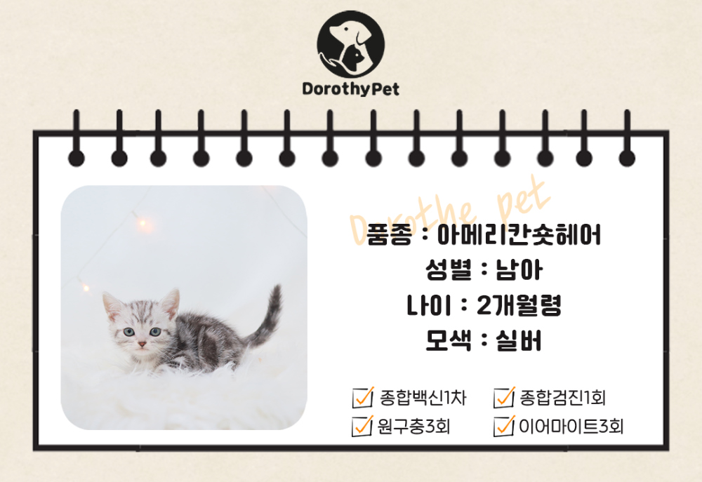 악세사리 상품 이미지-S1L2