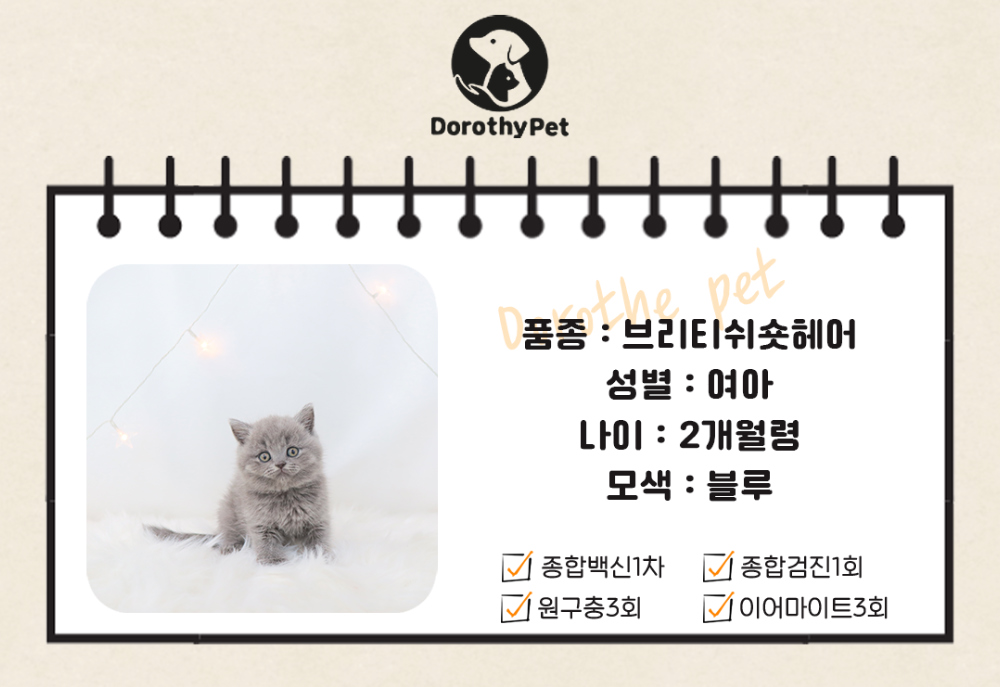 악세사리 상품 이미지-S1L2