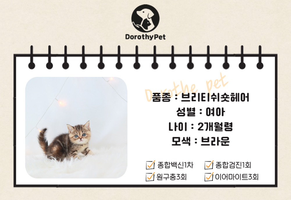 악세사리 상품 이미지-S1L2