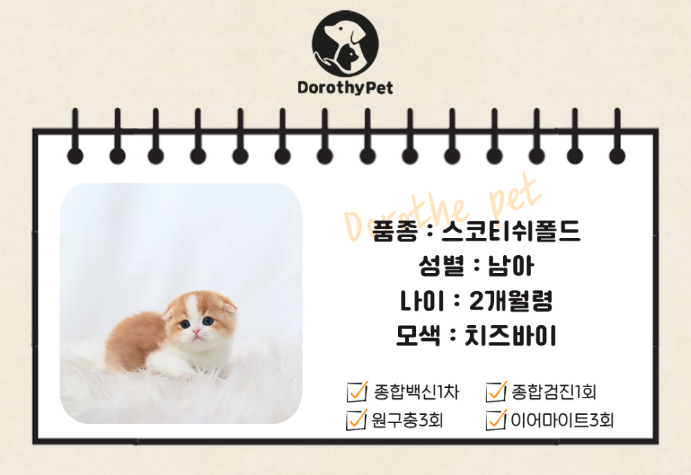 악세사리 상품 이미지-S1L2
