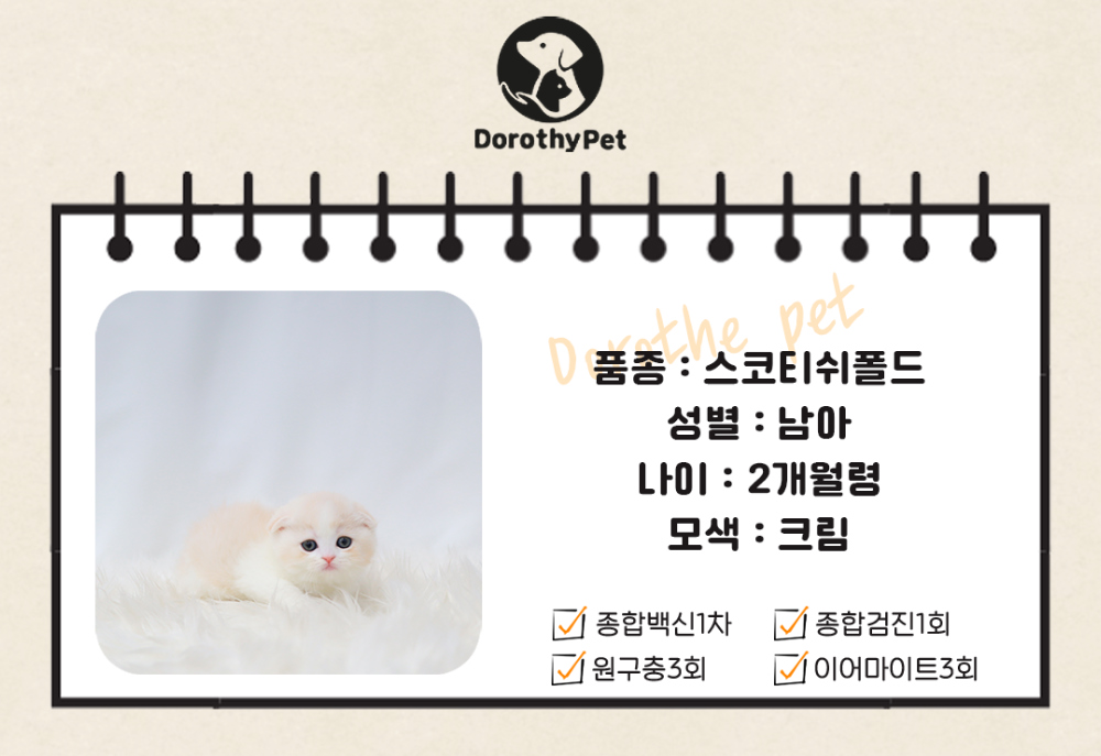 악세사리 상품 이미지-S1L2