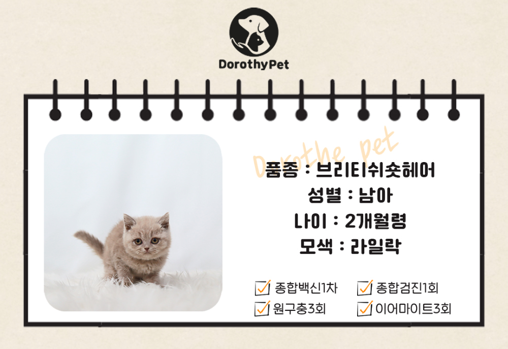 악세사리 상품 이미지-S1L2