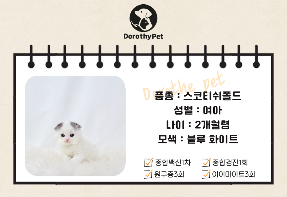 악세사리 상품 이미지-S1L2