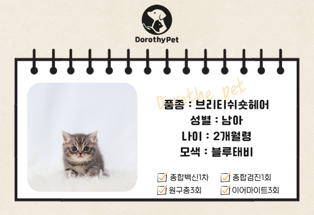 악세사리 상품 이미지-S1L2