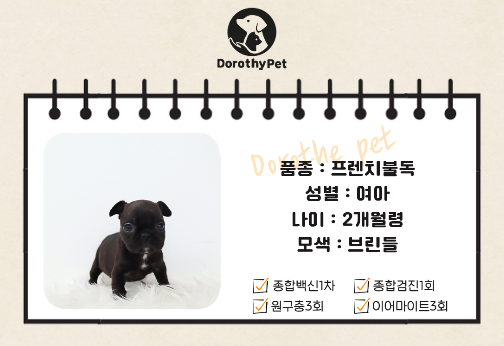 악세사리 상품 이미지-S1L2