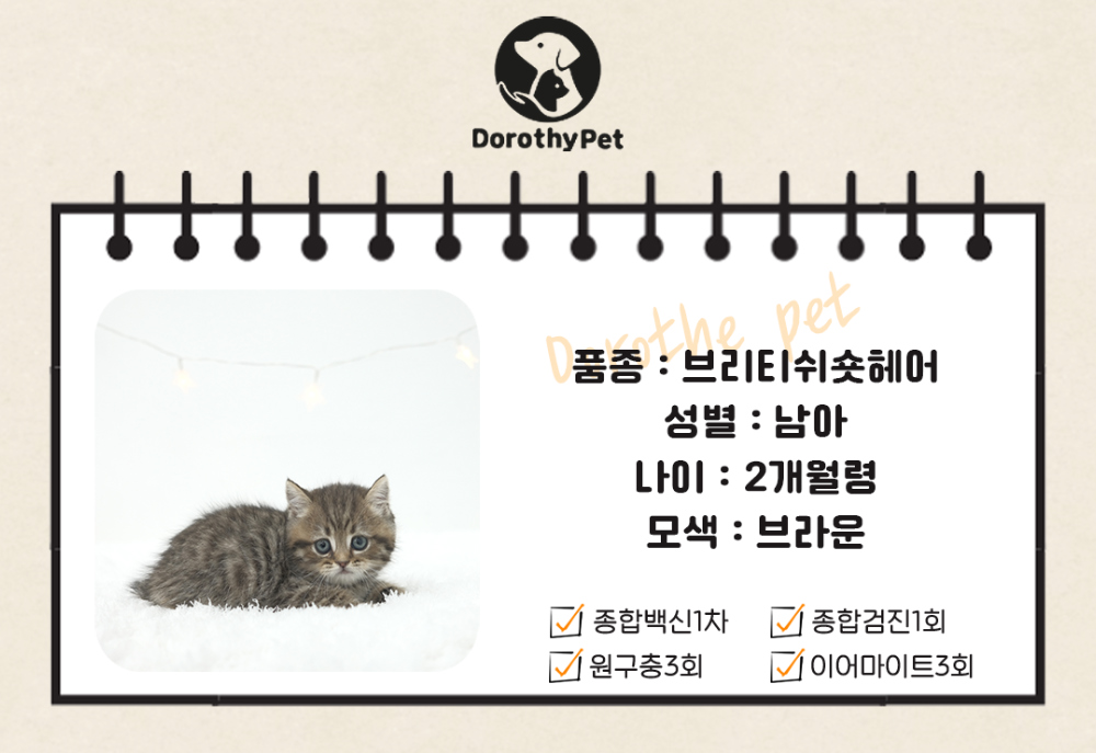 악세사리 상품 이미지-S1L2