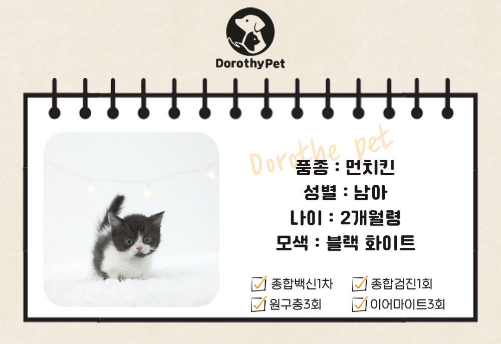 악세사리 상품 이미지-S1L2