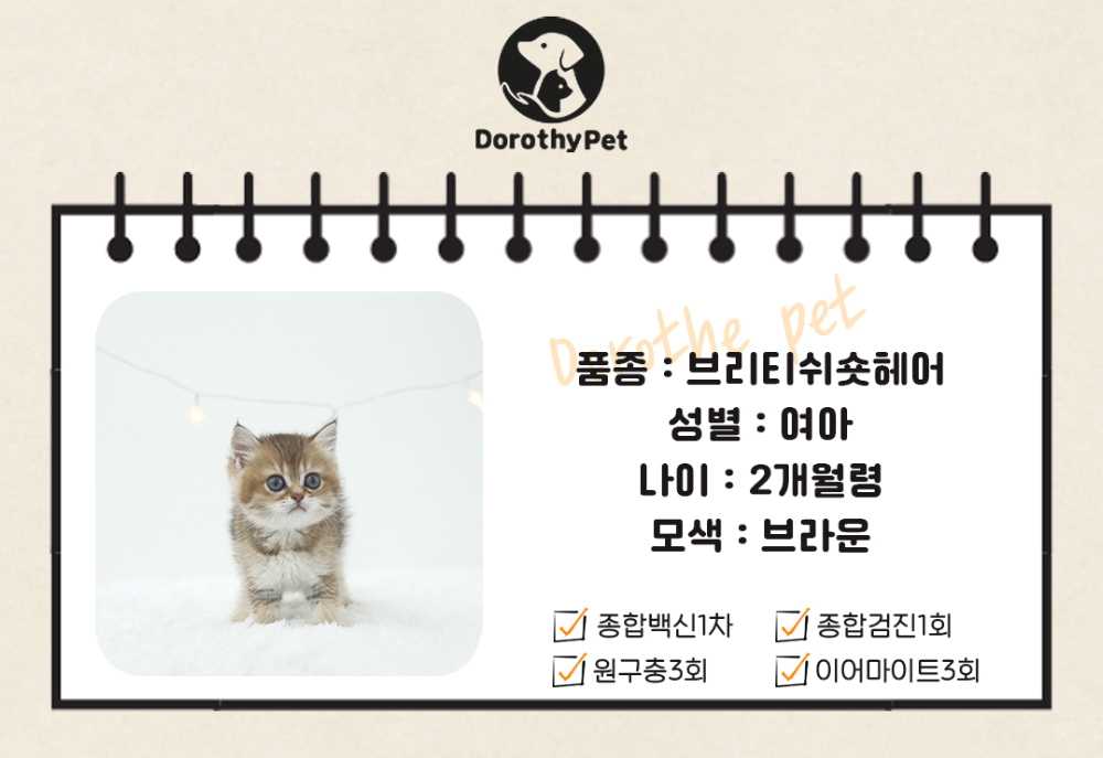 악세사리 상품 이미지-S1L2