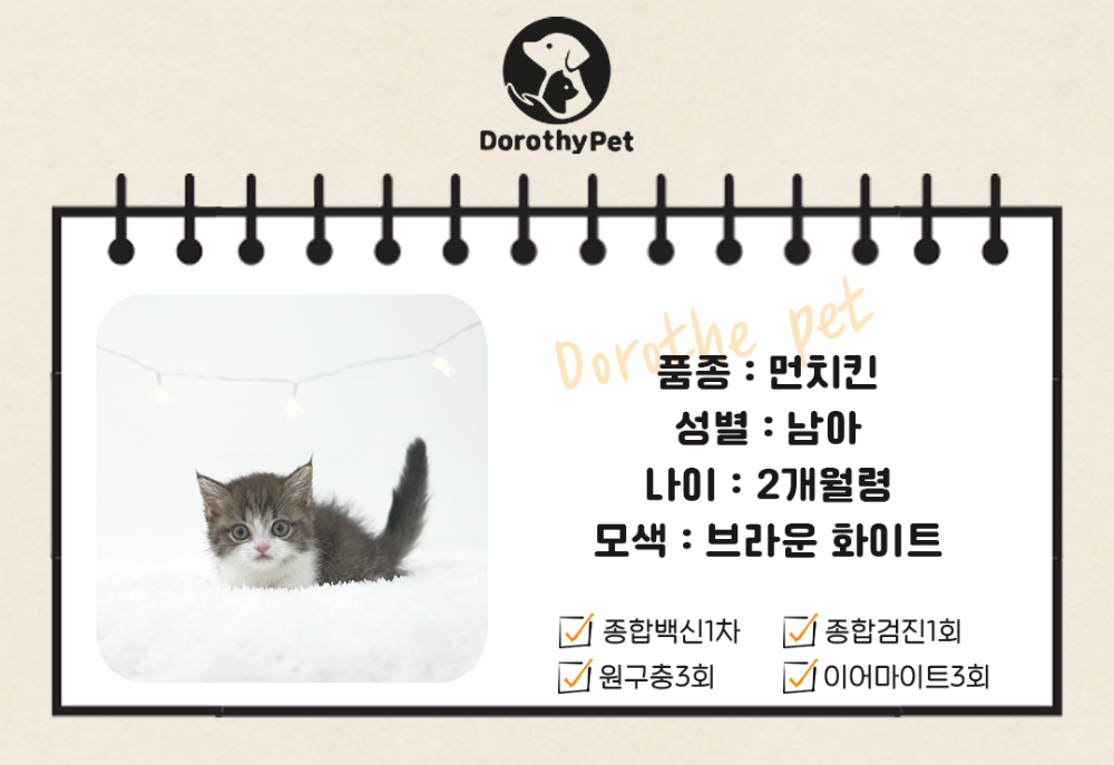 화장품 상품 이미지-S1L2