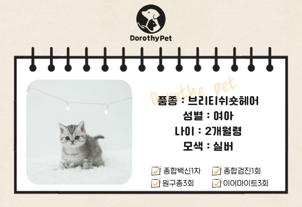 악세사리 상품 이미지-S1L2