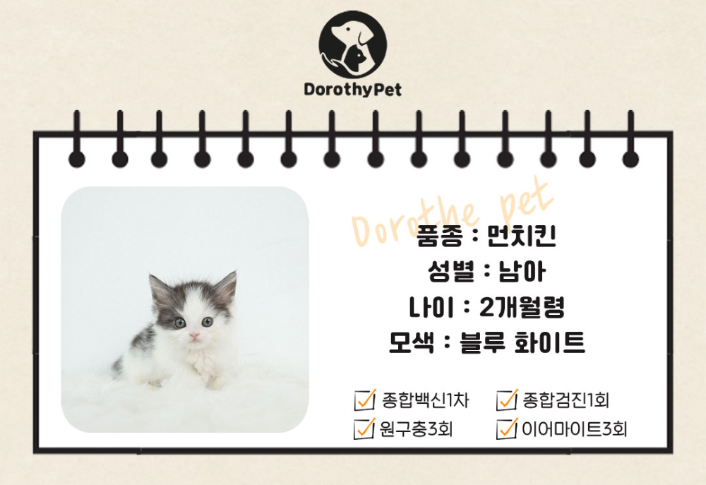 악세사리 상품 이미지-S1L2