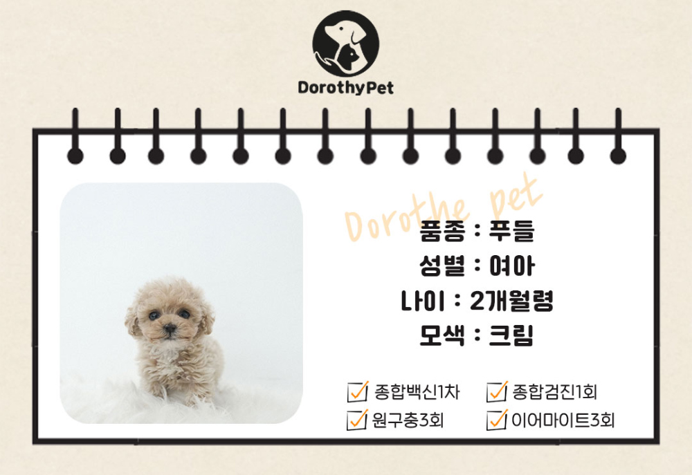 모자 상품 이미지-S1L2