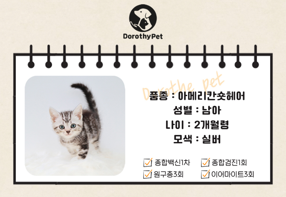 악세사리 상품 이미지-S1L2