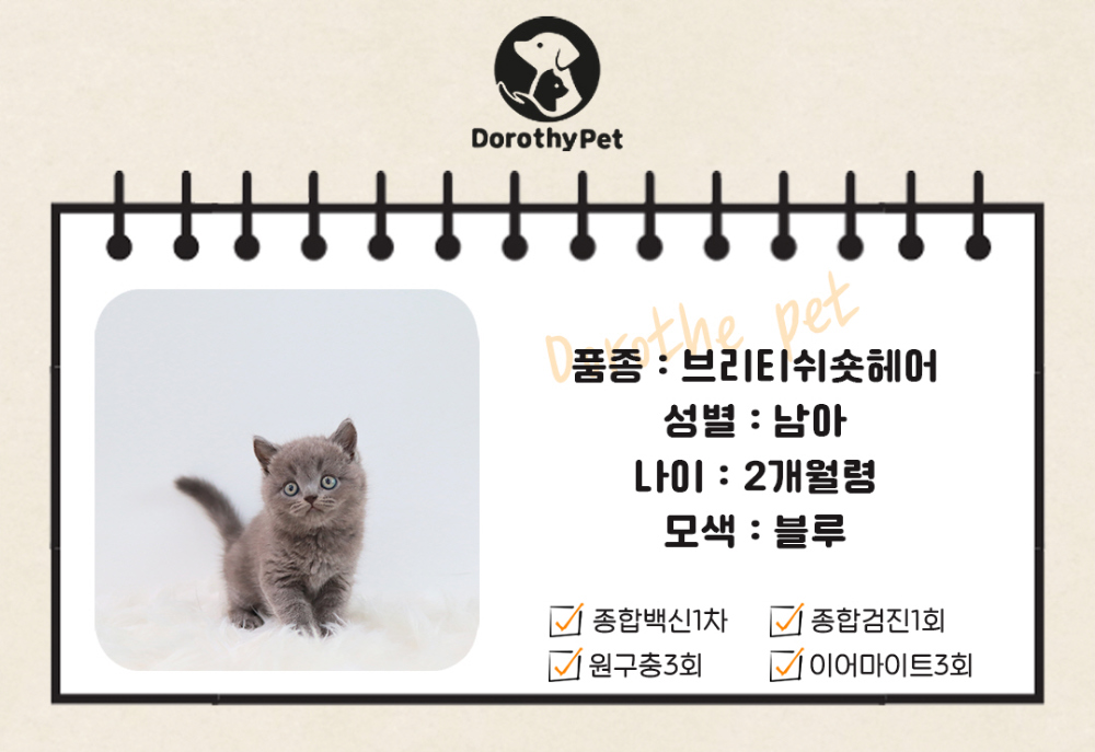 악세사리 상품 이미지-S1L2