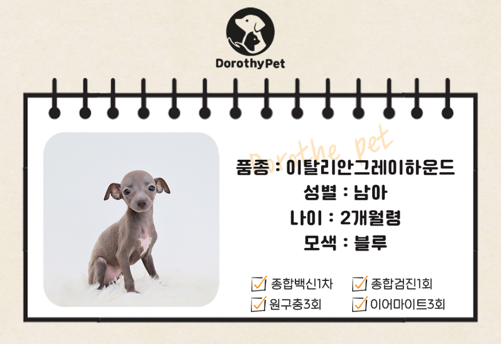 악세사리 상품 이미지-S1L2