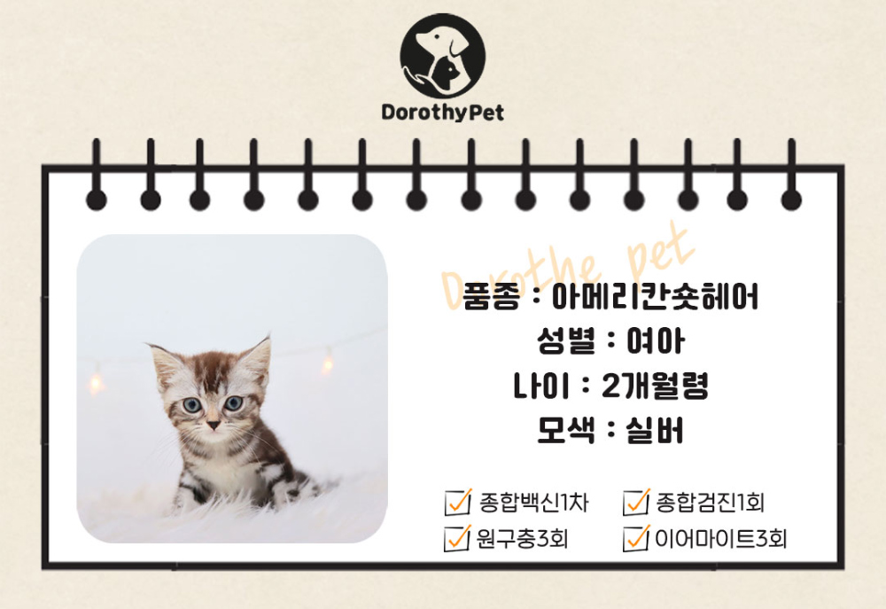 악세사리 상품 이미지-S1L2