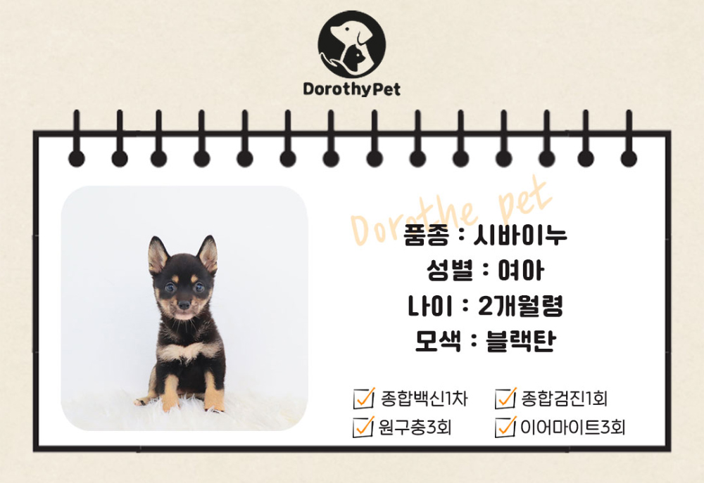 악세사리 상품 이미지-S1L2