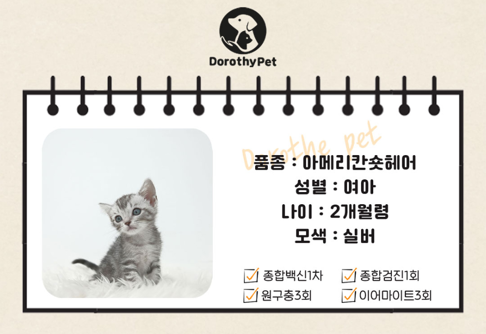 악세사리 상품 이미지-S1L2