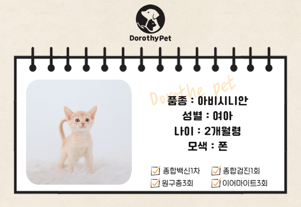악세사리 상품 이미지-S1L2