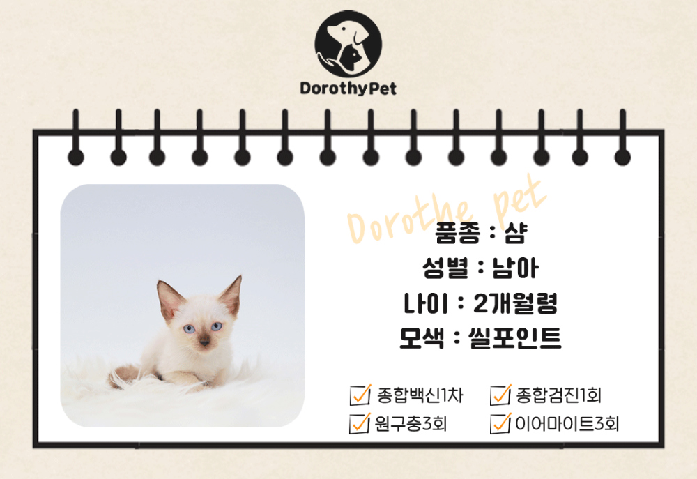 악세사리 상품 이미지-S1L2