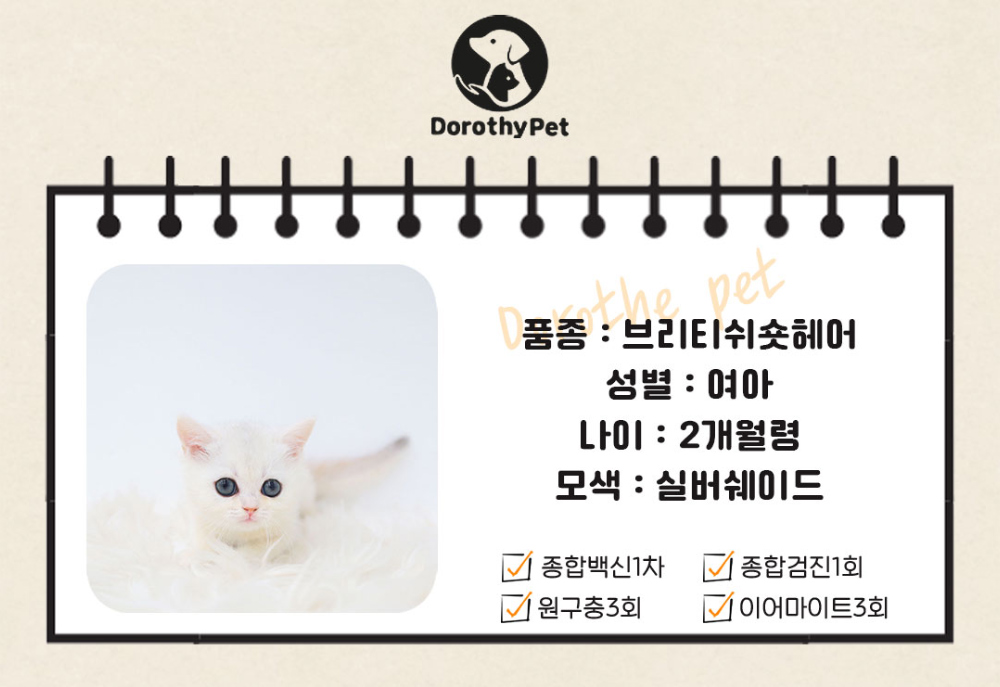 악세사리 상품 이미지-S1L2