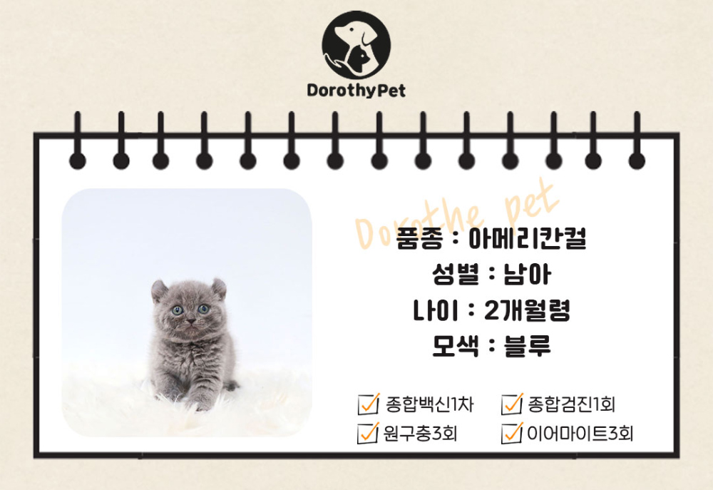 악세사리 상품 이미지-S1L2