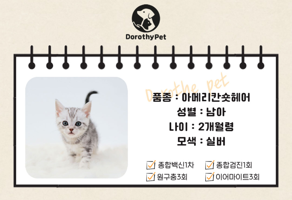악세사리 상품 이미지-S1L2