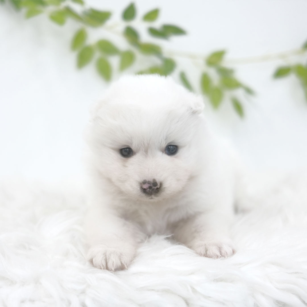 악세사리 상품상세 이미지-S1L3