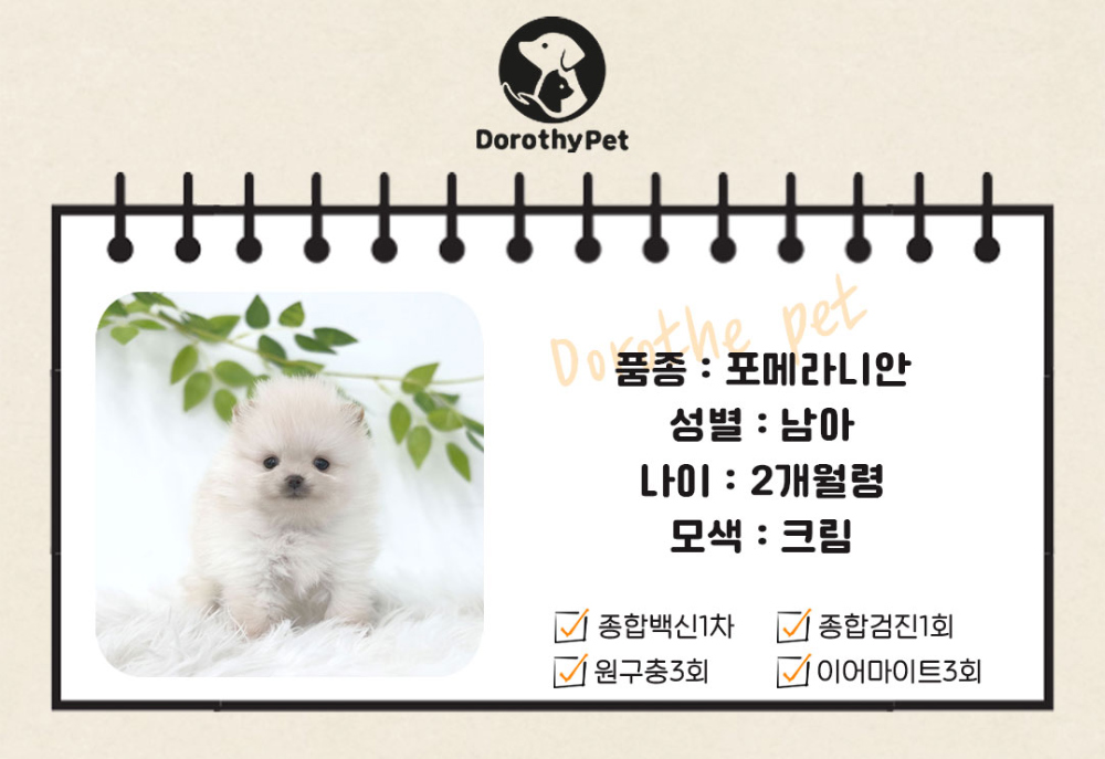 악세사리 화이트 색상 이미지-S1L5