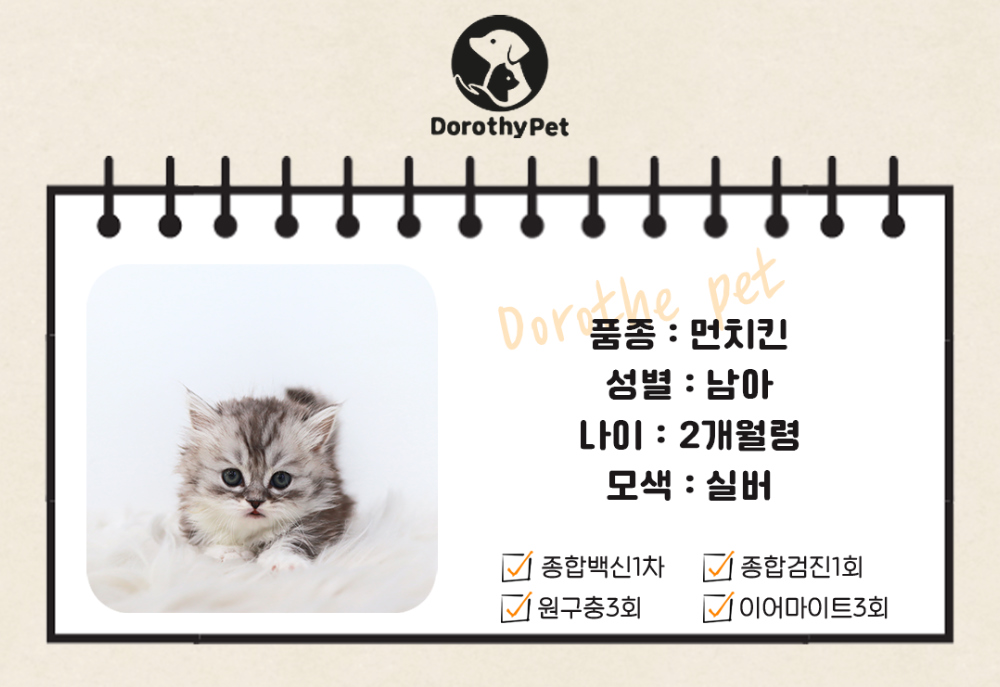 악세사리 상품 이미지-S1L5