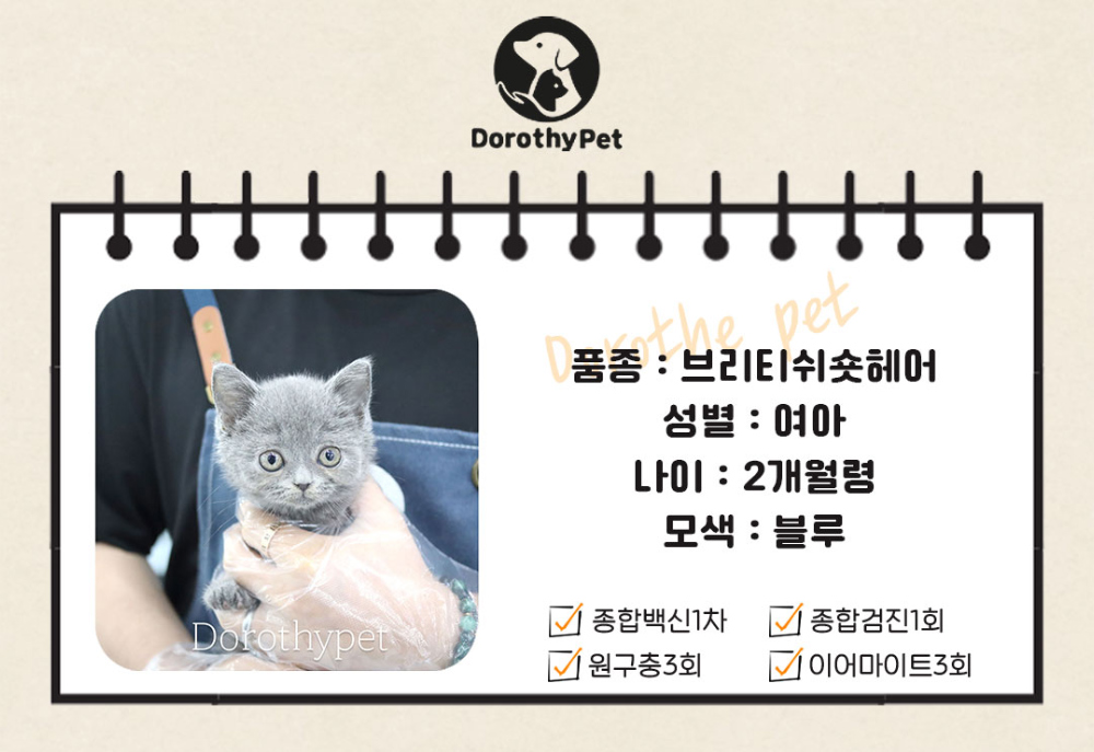 악세사리 상품 이미지-S1L5
