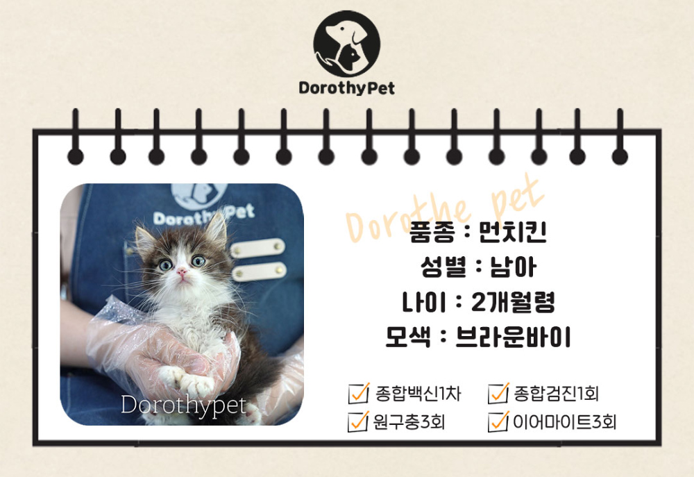 악세사리 상품 이미지-S1L4