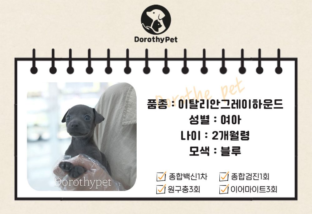 긴팔 티셔츠 상품 이미지-S1L4
