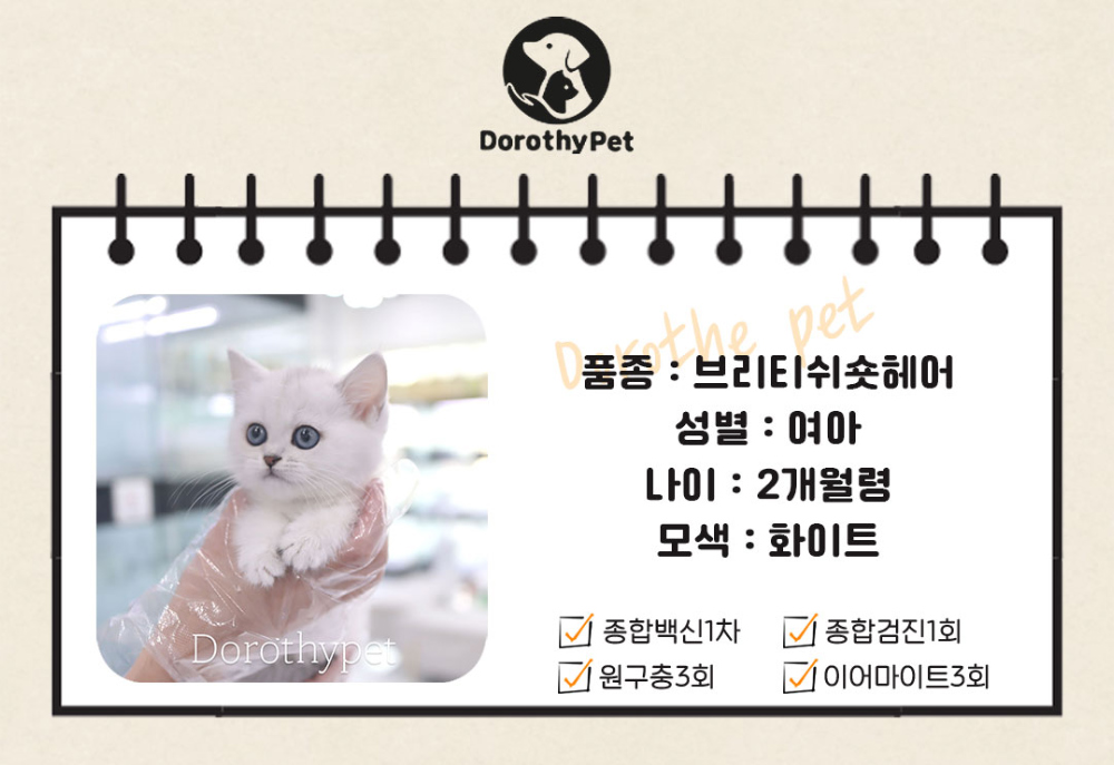 악세사리 상품 이미지-S1L4