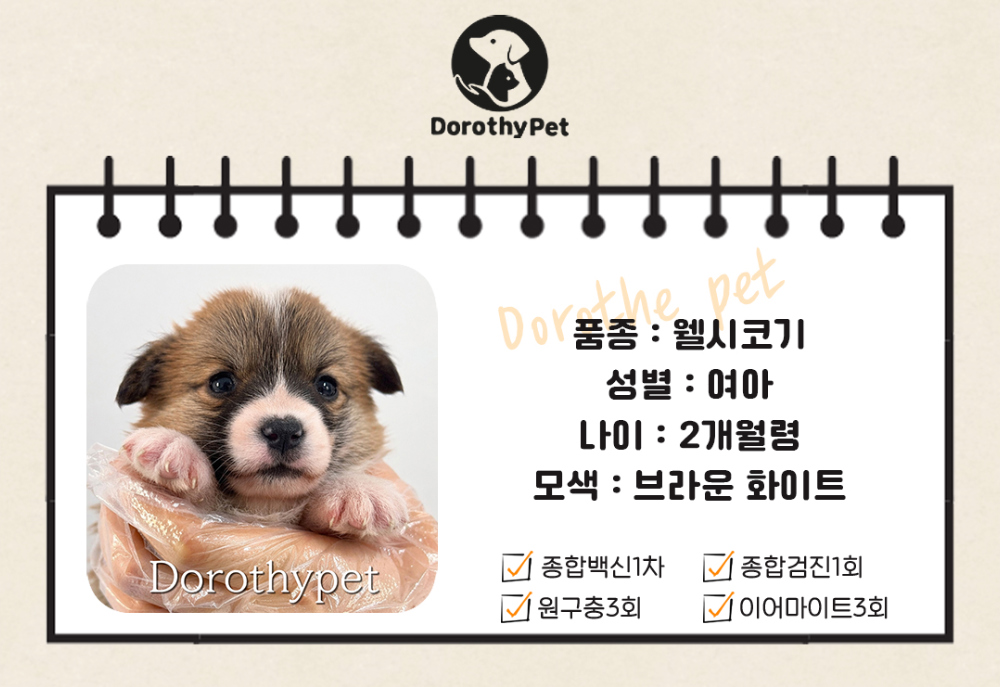 시계 화이트 색상 이미지-S1L2