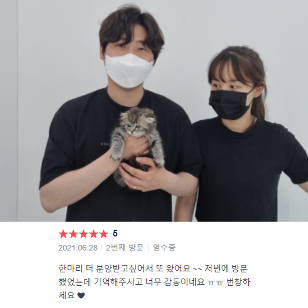 분양후기