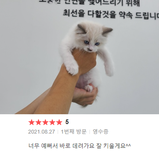 분양후기