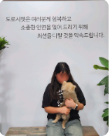 분양후기