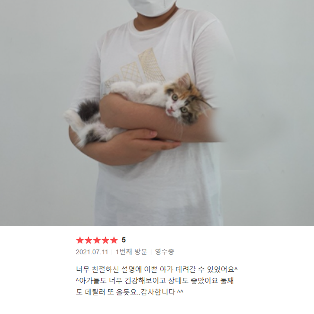 분양후기